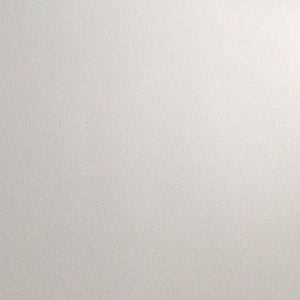 Meet your Posher, Bobbie